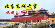 叉逼视频下载免费看中国北京-东城古宫旅游风景区